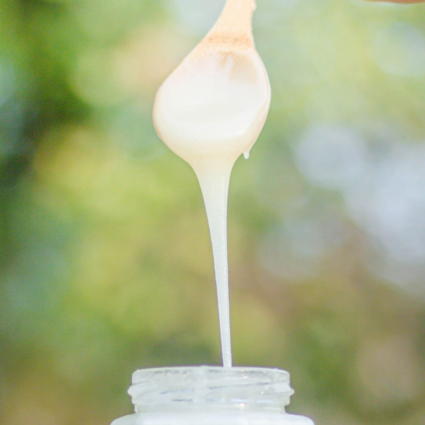 Miel PURA de Mezquite